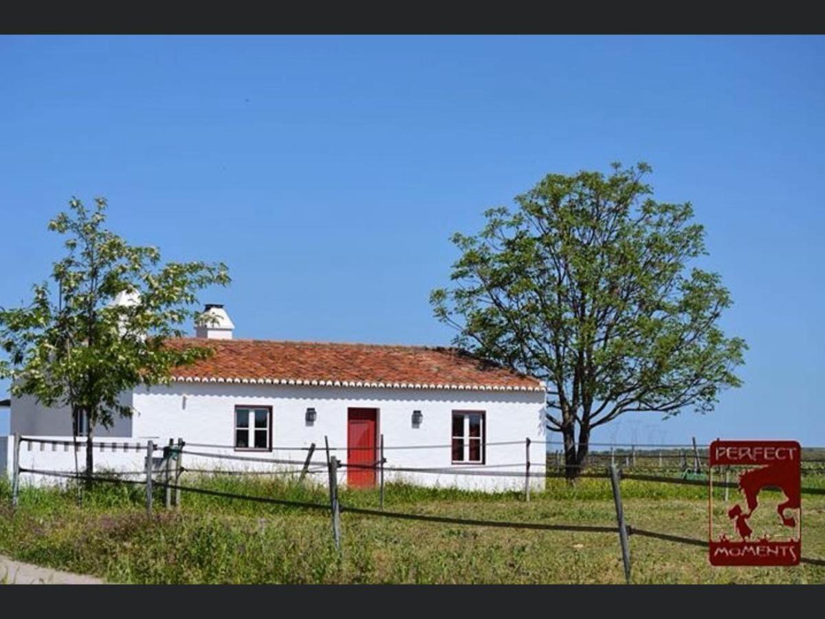 Vila Monte Da Boavista - Country Family House Alter do Chão Exteriér fotografie