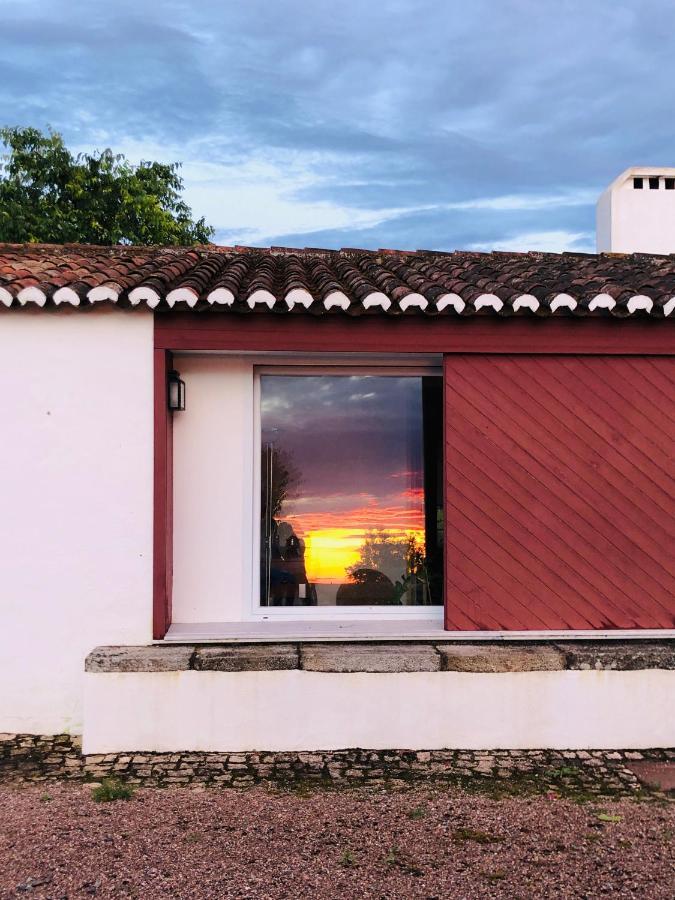 Vila Monte Da Boavista - Country Family House Alter do Chão Exteriér fotografie