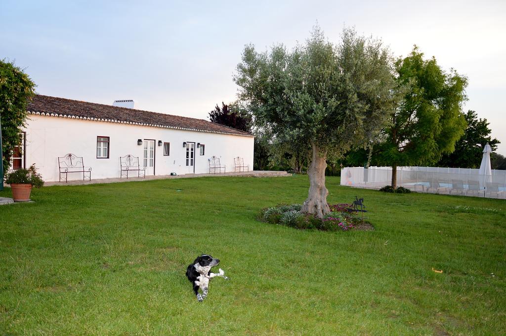 Vila Monte Da Boavista - Country Family House Alter do Chão Exteriér fotografie