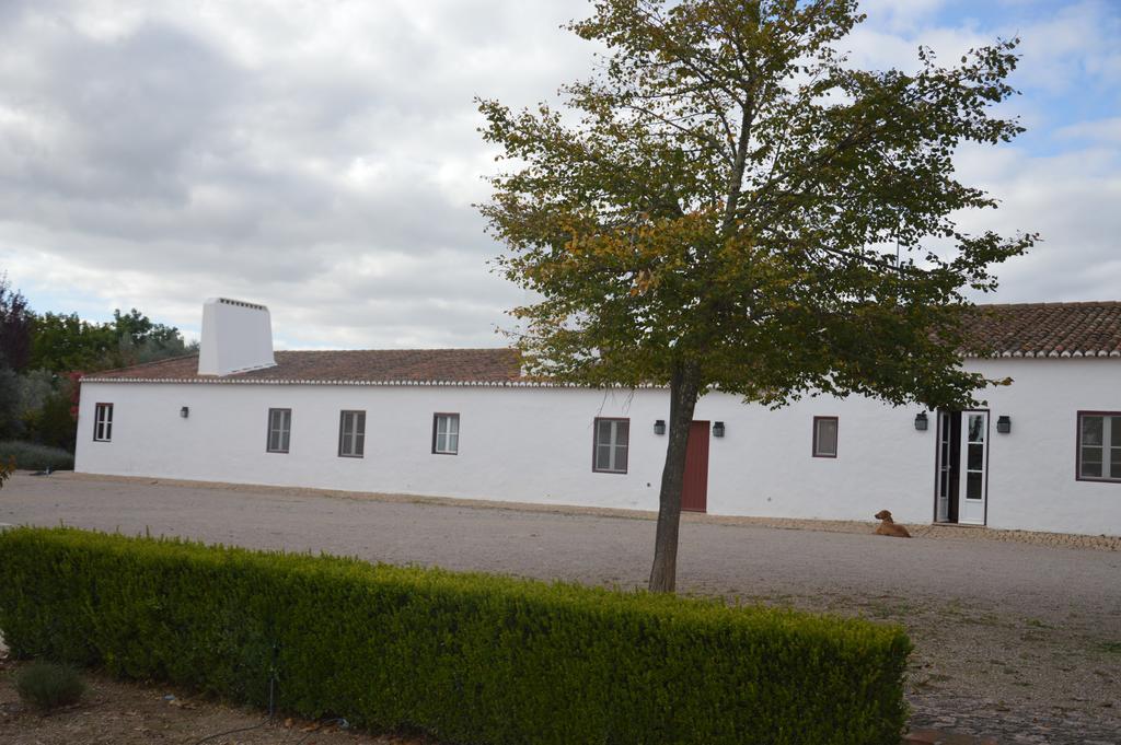 Vila Monte Da Boavista - Country Family House Alter do Chão Exteriér fotografie